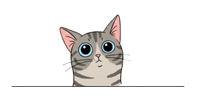 grey tabby cat